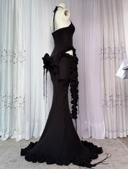 CISNE SET