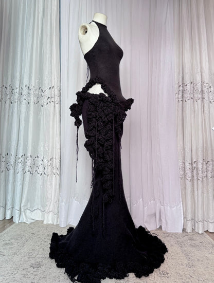 CISNE SET