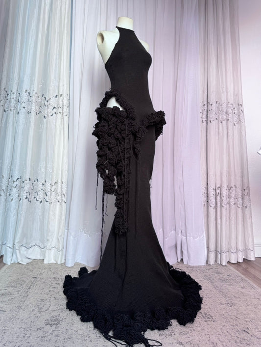 CISNE SET